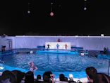 仙台うみの杜水族館に投稿された画像（2021/8/17）