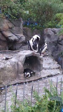 サンシャイン水族館に投稿された画像（2021/8/17）