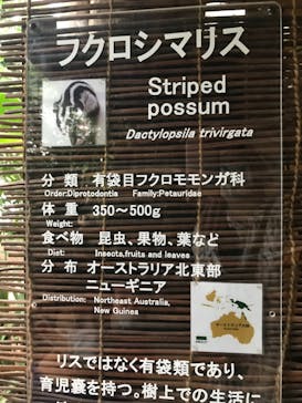 神戸どうぶつ王国に投稿された画像（2021/8/17）