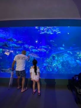 鳥羽水族館に投稿された画像（2021/8/17）