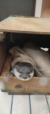 ゼロ距離水族館 伊勢シーパラダイスに投稿された画像（2021/8/17）