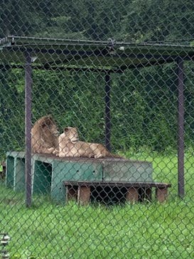 那須サファリパークに投稿された画像（2021/8/17）