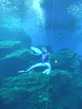 仙台うみの杜水族館に投稿された画像（2021/8/17）