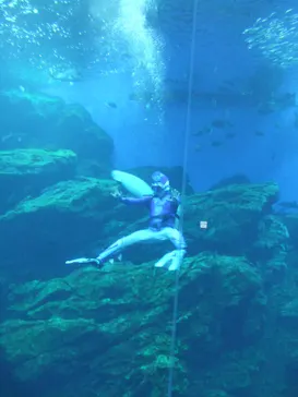 仙台うみの杜水族館に投稿された画像（2021/8/17）
