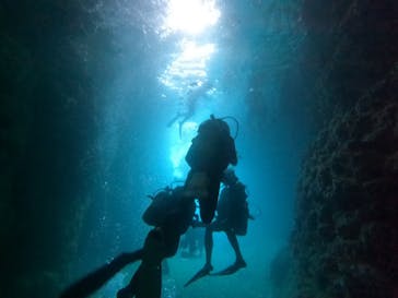 DIVING-SHOP SUNSに投稿された画像（2021/8/17）