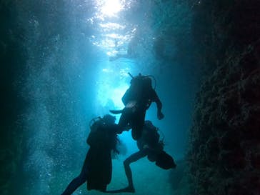 DIVING-SHOP SUNSに投稿された画像（2021/8/17）