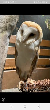 Moff animal world MARK IS みなとみらい店に投稿された画像（2021/8/17）