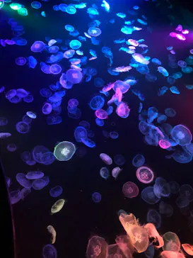 すみだ水族館に投稿された画像（2021/8/17）