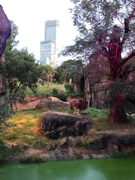 天王寺動物園に投稿された画像（2021/8/17）