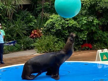 サンシャイン水族館に投稿された画像（2021/8/17）