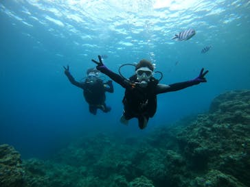 DIVING-SHOP SUNSに投稿された画像（2021/8/17）