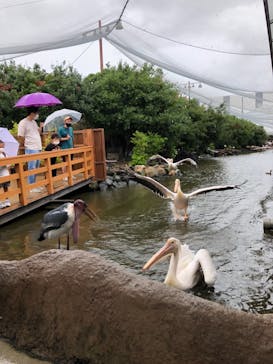 神戸どうぶつ王国に投稿された画像（2021/8/17）