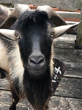 美らヤシパークオキナワ・東南植物楽園に投稿された画像（2021/8/17）