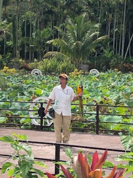 美らヤシパークオキナワ・東南植物楽園に投稿された画像（2021/8/17）