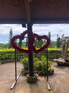 美らヤシパークオキナワ・東南植物楽園に投稿された画像（2021/8/17）