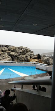 大分マリーンパレス水族館 「うみたまご」に投稿された画像（2021/8/17）