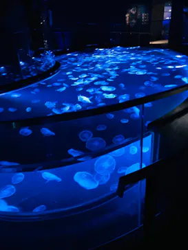 すみだ水族館に投稿された画像（2021/8/17）