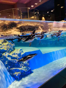 すみだ水族館に投稿された画像（2021/8/17）