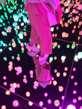 森ビル デジタルアート ミュージアム：エプソン チームラボボーダレスに投稿された画像（2021/8/17）