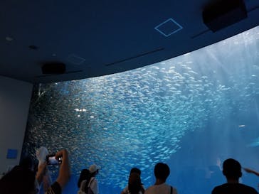 名古屋港水族館に投稿された画像（2021/8/17）