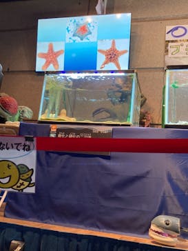 株式会社Gに投稿された画像（2021/8/17）