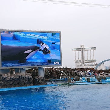 名古屋港水族館に投稿された画像（2021/8/17）
