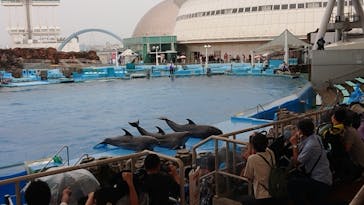 名古屋港水族館に投稿された画像（2021/8/17）