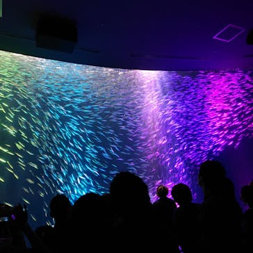 名古屋港水族館に投稿された画像（2021/8/17）