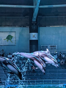 マクセル アクアパーク品川に投稿された画像（2021/8/17）