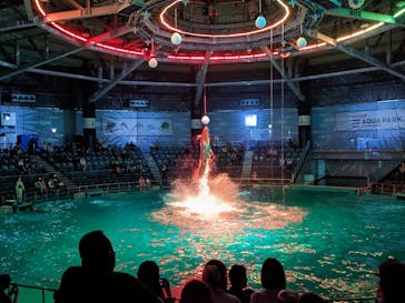 マクセル アクアパーク品川に投稿された画像（2021/8/17）