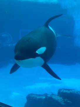 名古屋港水族館に投稿された画像（2021/8/17）