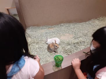 カワスイ 川崎⽔族館に投稿された画像（2021/8/17）