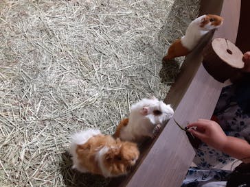 カワスイ 川崎⽔族館に投稿された画像（2021/8/17）