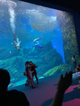 仙台うみの杜水族館に投稿された画像（2021/8/17）
