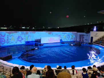 仙台うみの杜水族館に投稿された画像（2021/8/17）