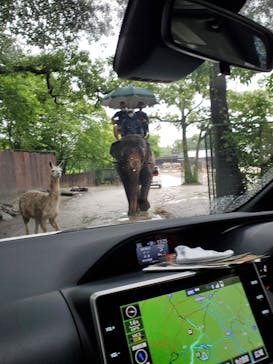 那須サファリパークに投稿された画像（2021/8/18）