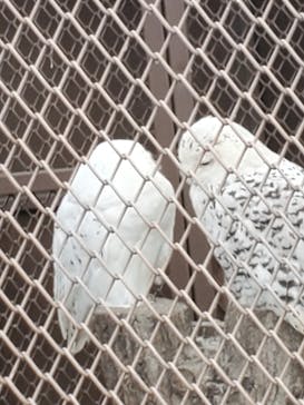 那須サファリパークに投稿された画像（2021/8/18）