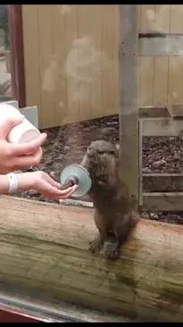 横浜・八景島シーパラダイスに投稿された画像（2021/8/18）