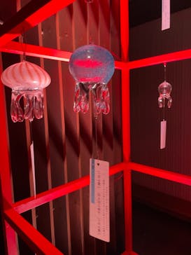 京都水族館に投稿された画像（2021/8/18）