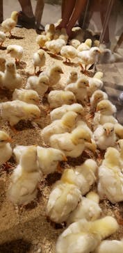 Moff animal world MARK IS みなとみらい店に投稿された画像（2021/8/18）