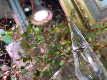 impera accessory（インペラアクセサリー）に投稿された画像（2021/8/18）