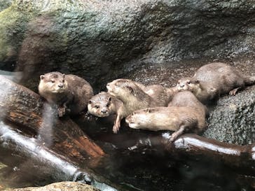 神戸どうぶつ王国に投稿された画像（2021/8/18）