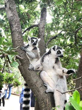 神戸どうぶつ王国に投稿された画像（2021/8/18）