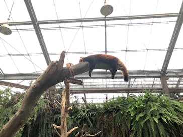 神戸どうぶつ王国に投稿された画像（2021/8/18）