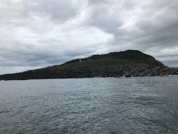 東尋坊観光遊覧船株式会社に投稿された画像（2021/8/18）