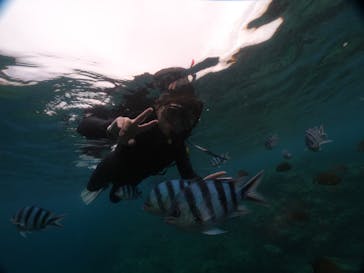 DIVING-SHOP SUNSに投稿された画像（2021/8/18）