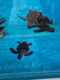 名古屋港水族館に投稿された画像（2021/8/18）