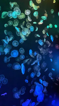すみだ水族館に投稿された画像（2021/8/18）