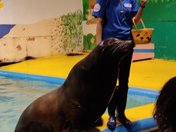 ゼロ距離水族館 伊勢シーパラダイスに投稿された画像（2021/8/18）