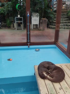 ゼロ距離水族館 伊勢シーパラダイスに投稿された画像（2021/8/18）